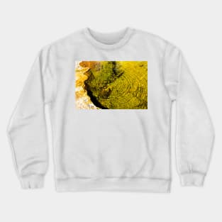 Hot spring at Yellowstone Crewneck Sweatshirt